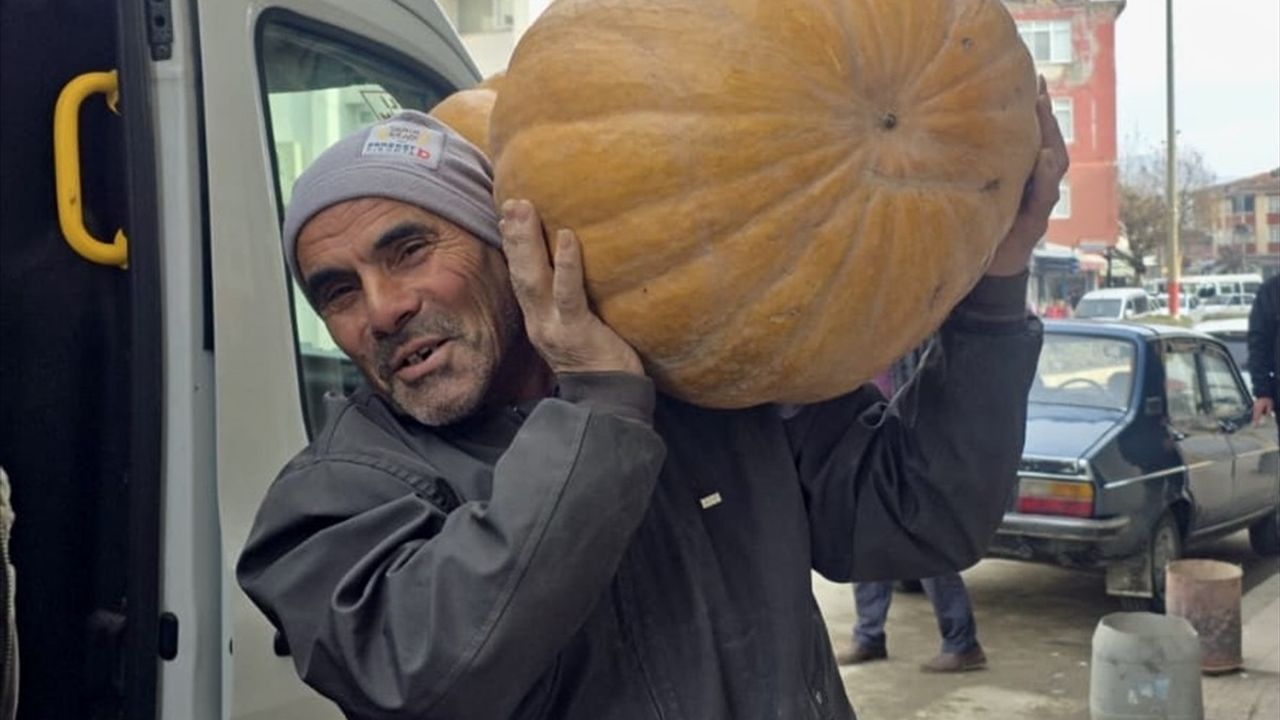 Durağan'da 55 Kilogramlık Bal Kabağı Satışa Sunuldu