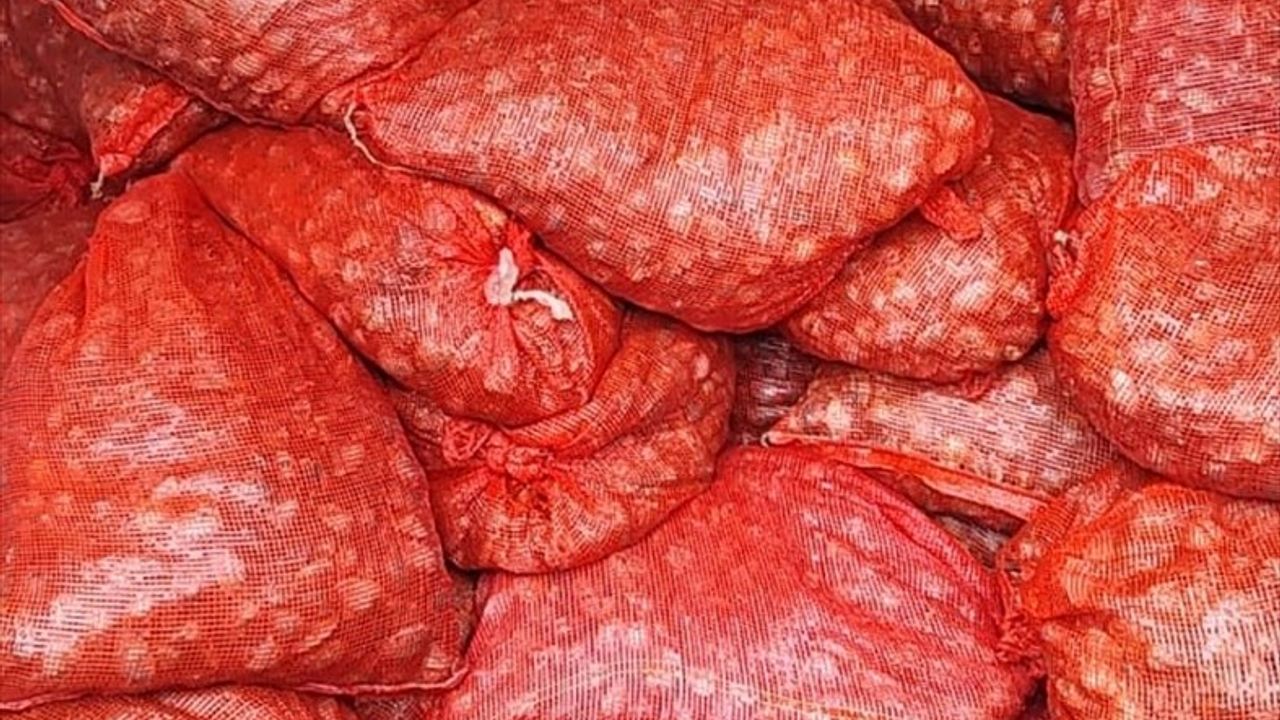 Edirne'de Kum Midyesi Kaçakçılığına Ağırlık Verildi