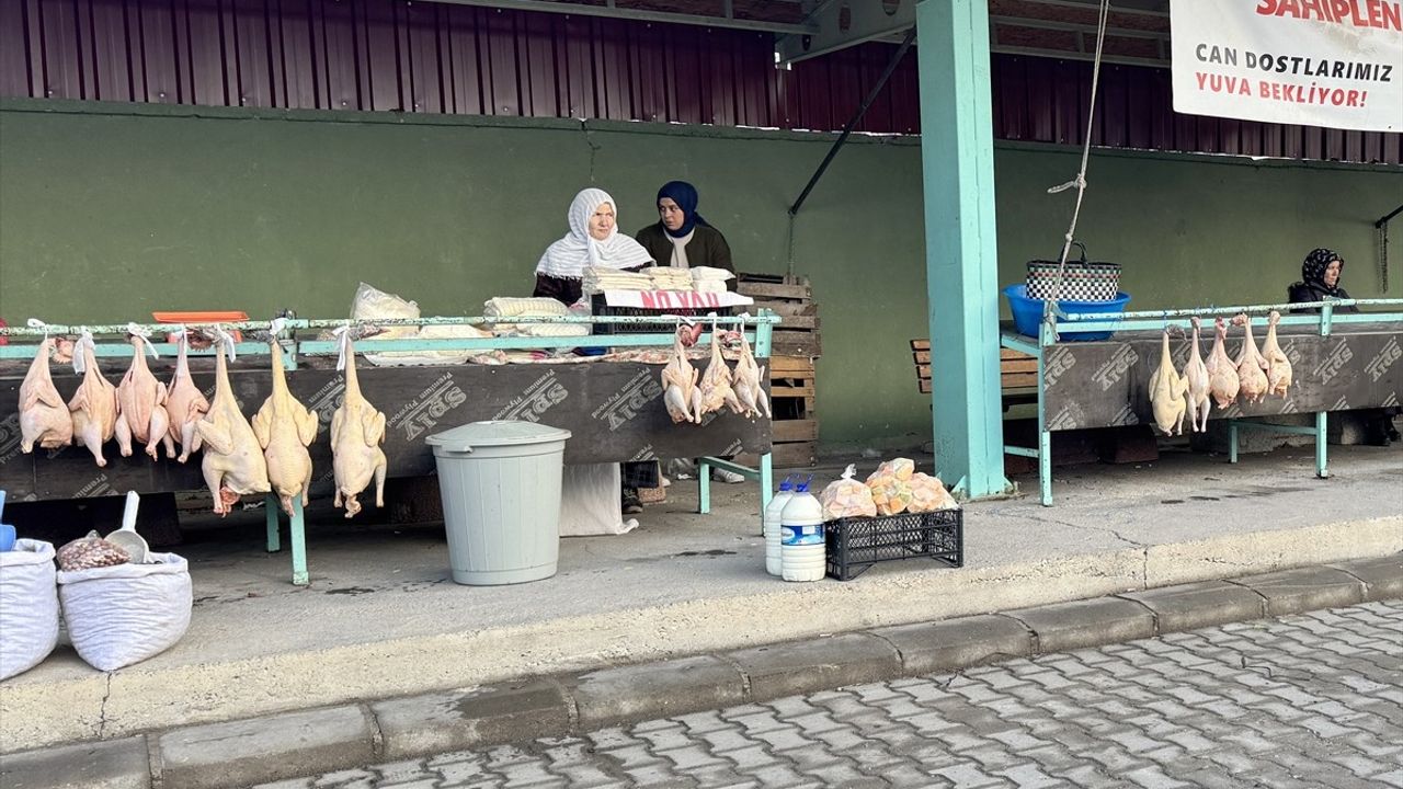 Eflani Hindisi Yeni Yıla Hazır