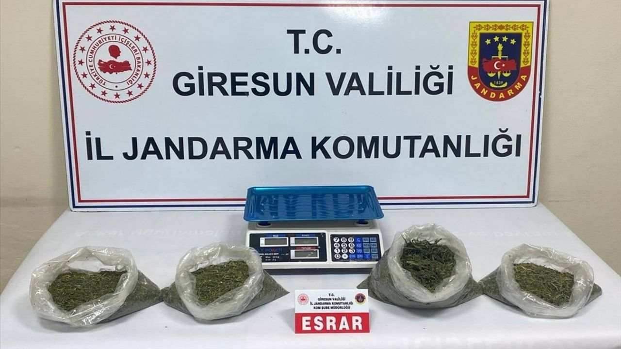 Giresun'da Uyuşturucu Operasyonu: İki Şüpheli Tutuklandı