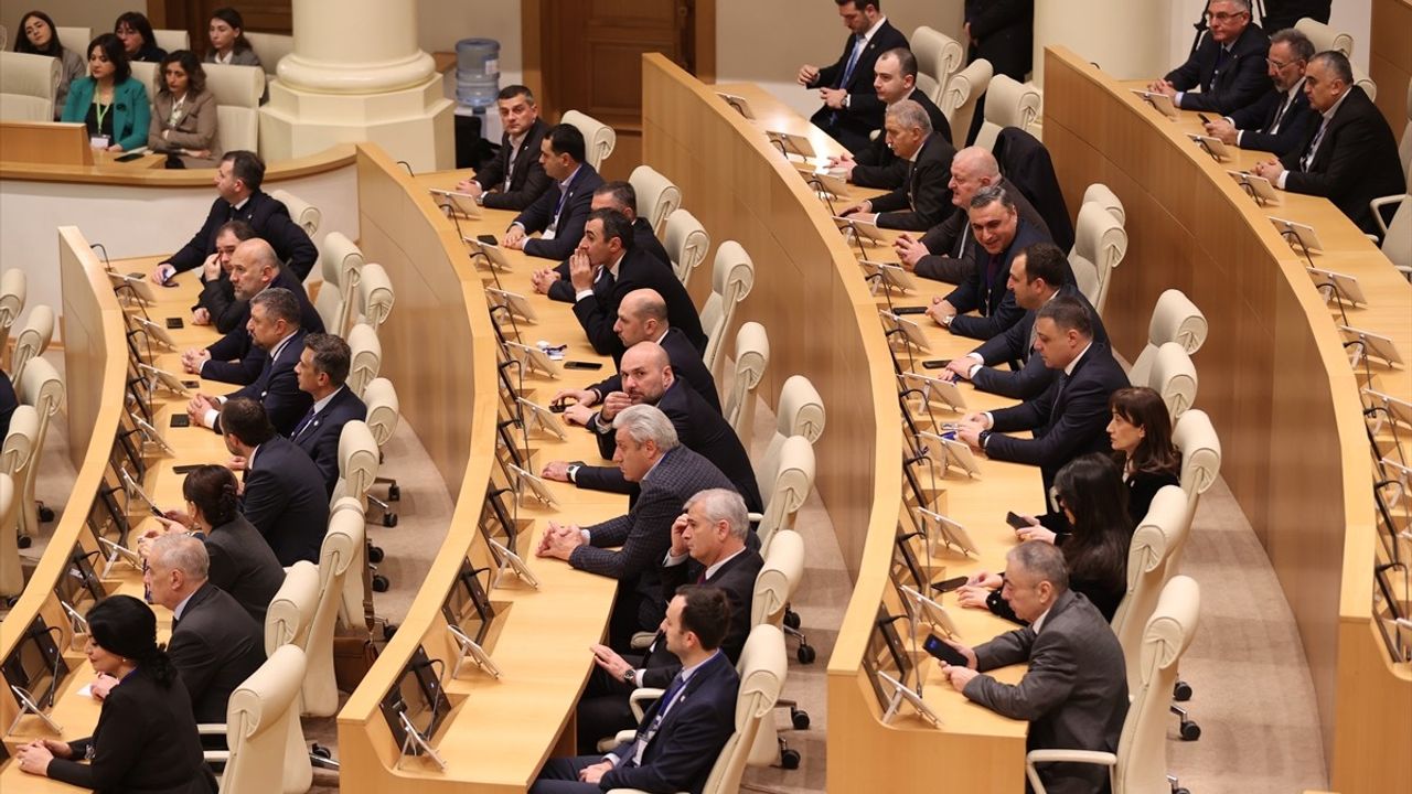 Gürcistan'da 6. Cumhurbaşkanı Seçim Süreci Başladı