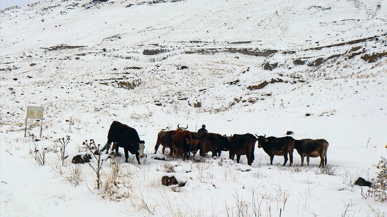 Iğdır'ın Dağ Köylerinde Kış Hazırlıkları