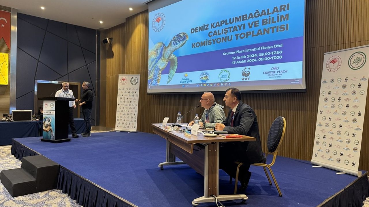 İstanbul'da Deniz Kaplumbağaları Çalıştayı Başladı