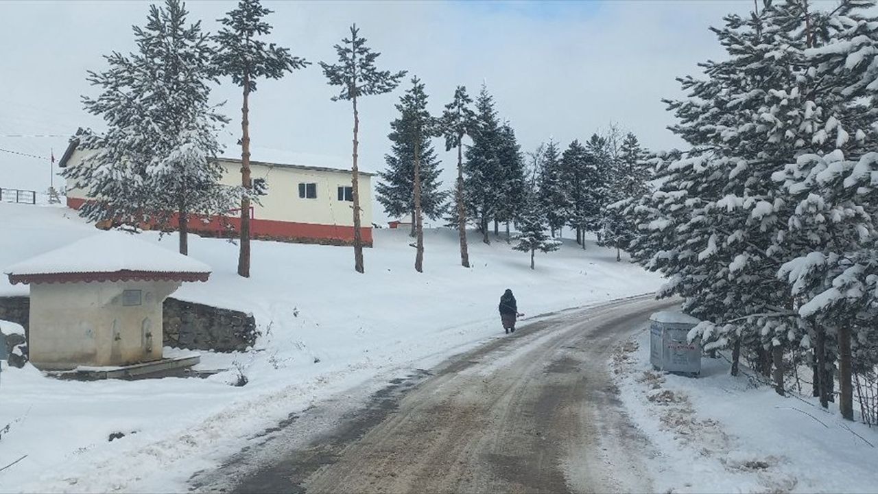 Karadeniz Bölgesi'nde Kar Yağışı Hayatı Olumsuz Etkiledi