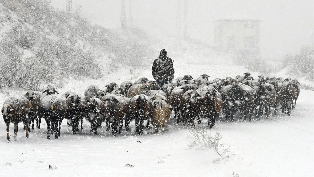 Kars ve Ağrı'da Etkili Kar Yağışı Hayatı Olumsuz Etkiledi