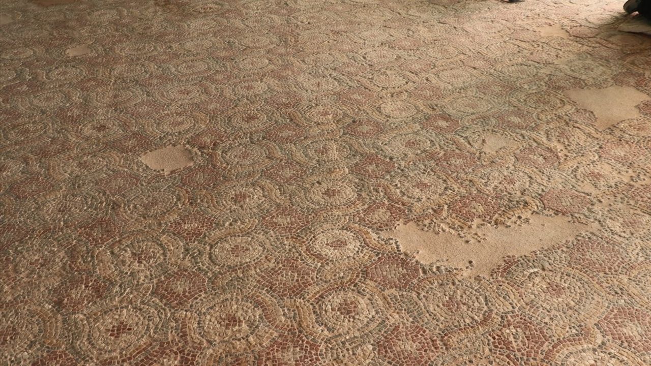 Kastamonu'daki Pompeiopolis Antik Kenti'nde Mozaik Restorasyonu Tamamlandı