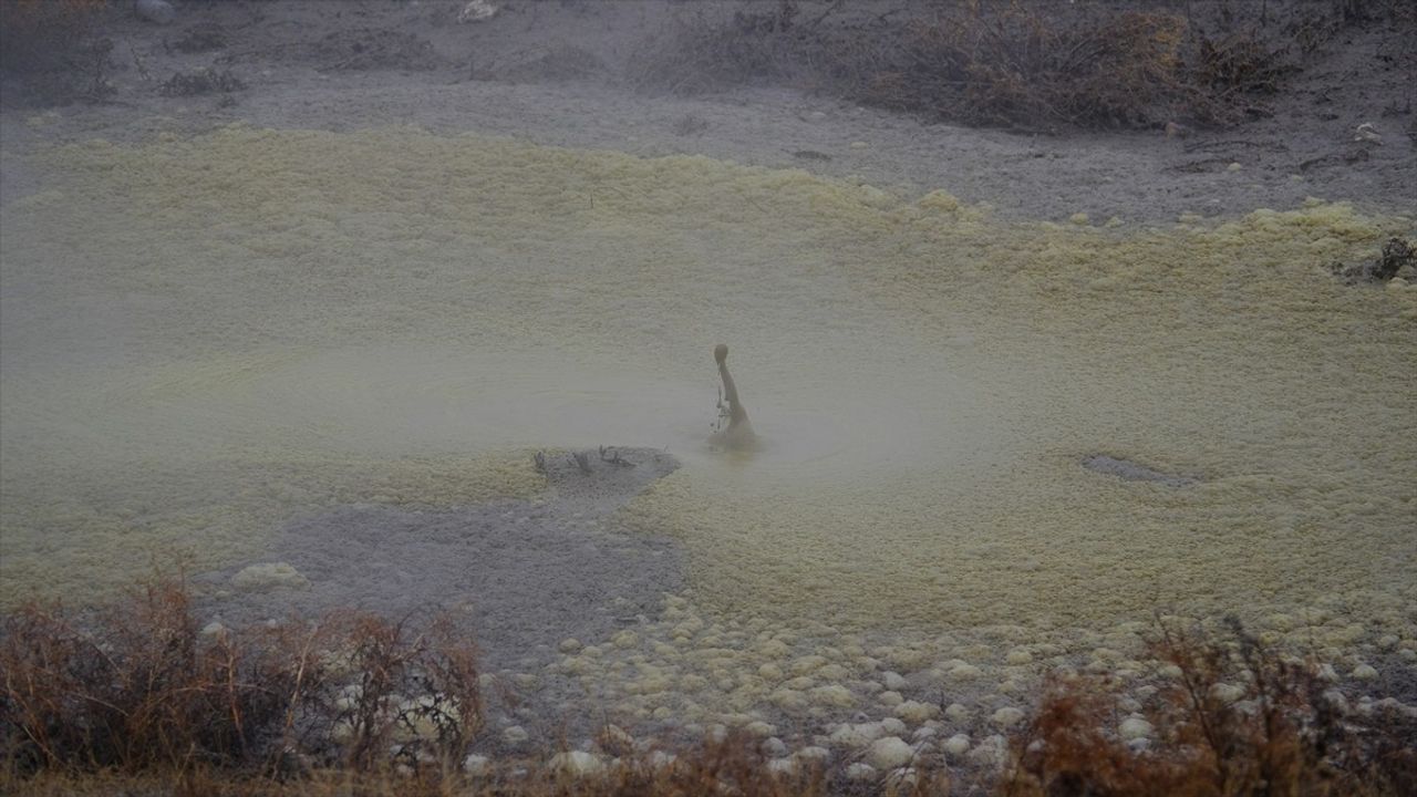 Konya'da Kimyasal Madde Taşıyan Tankerin Devrilmesi