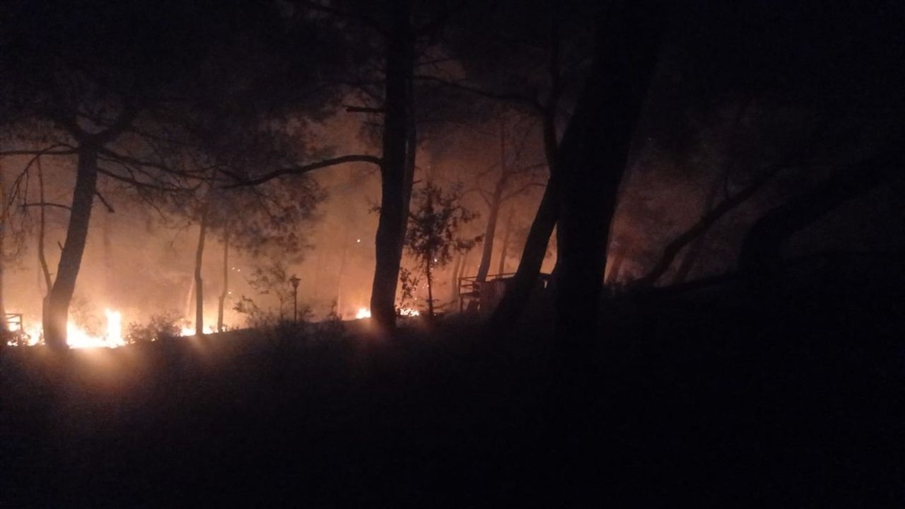 Kozan'daki Orman Yangını Kontrol Altına Alındı