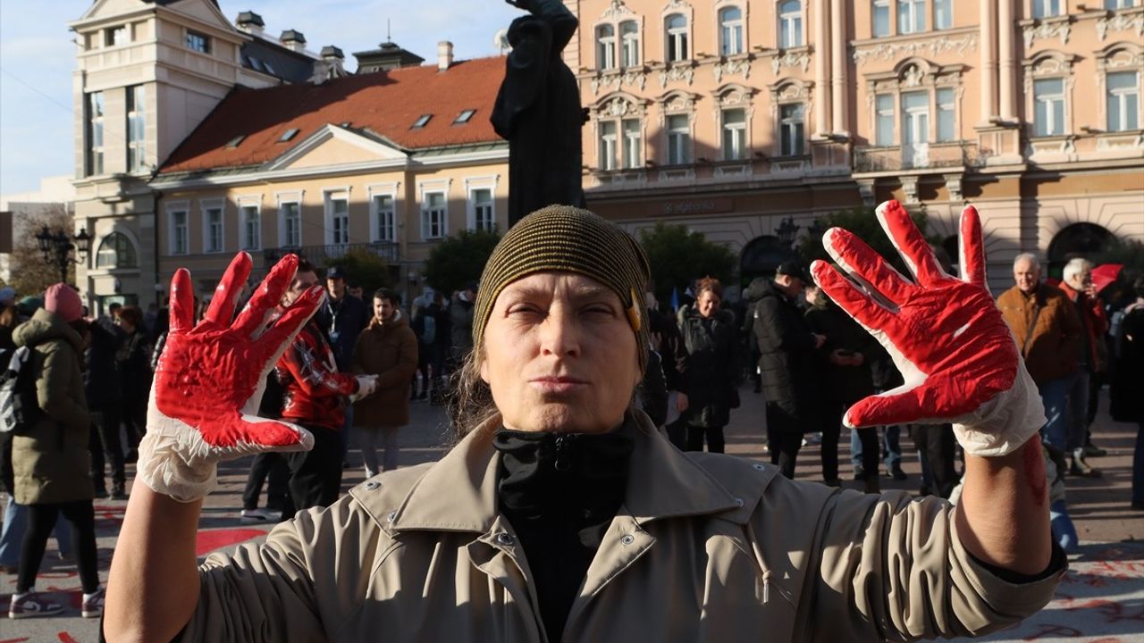 Novi Sad'da Kazanın Birinci Ayında Geniş Gösteri Düzenlendi