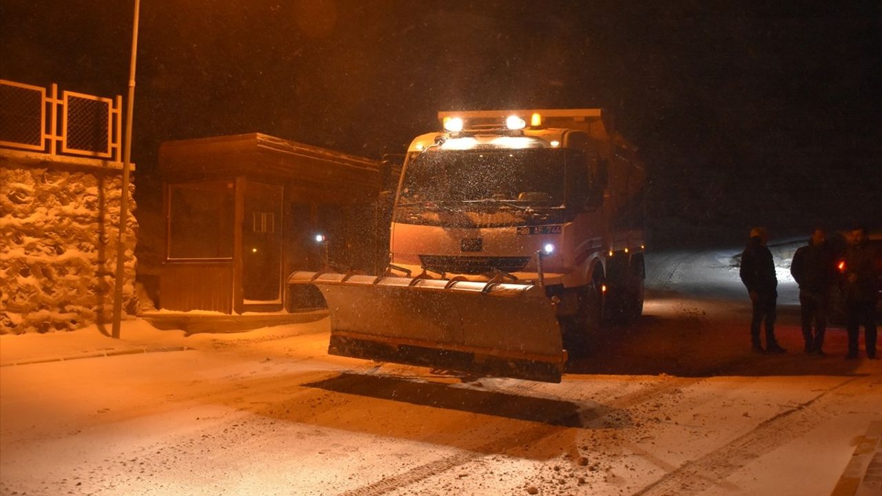 Ordu ve Gümüşhane'de Kış Manzaraları: Kar Yağışı Etkisini Gösterdi