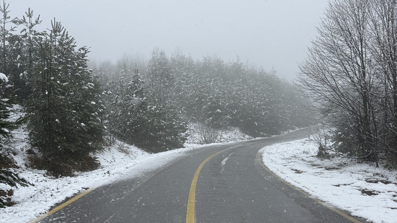 Sakarya'nın Yüksek Kesimlerinde Kar Yağışı Başladı