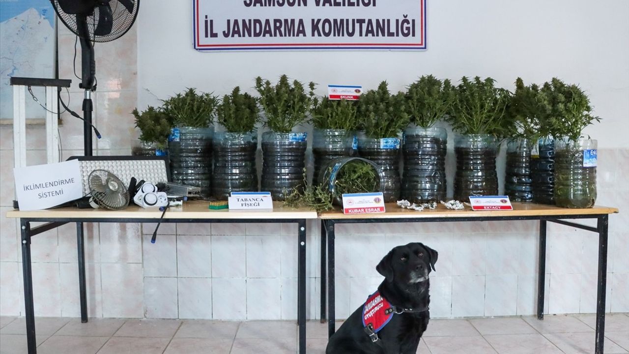 Samsun'da Uyuşturucu Üretimi: İklimlendirme Sistemi ile Yakalandı