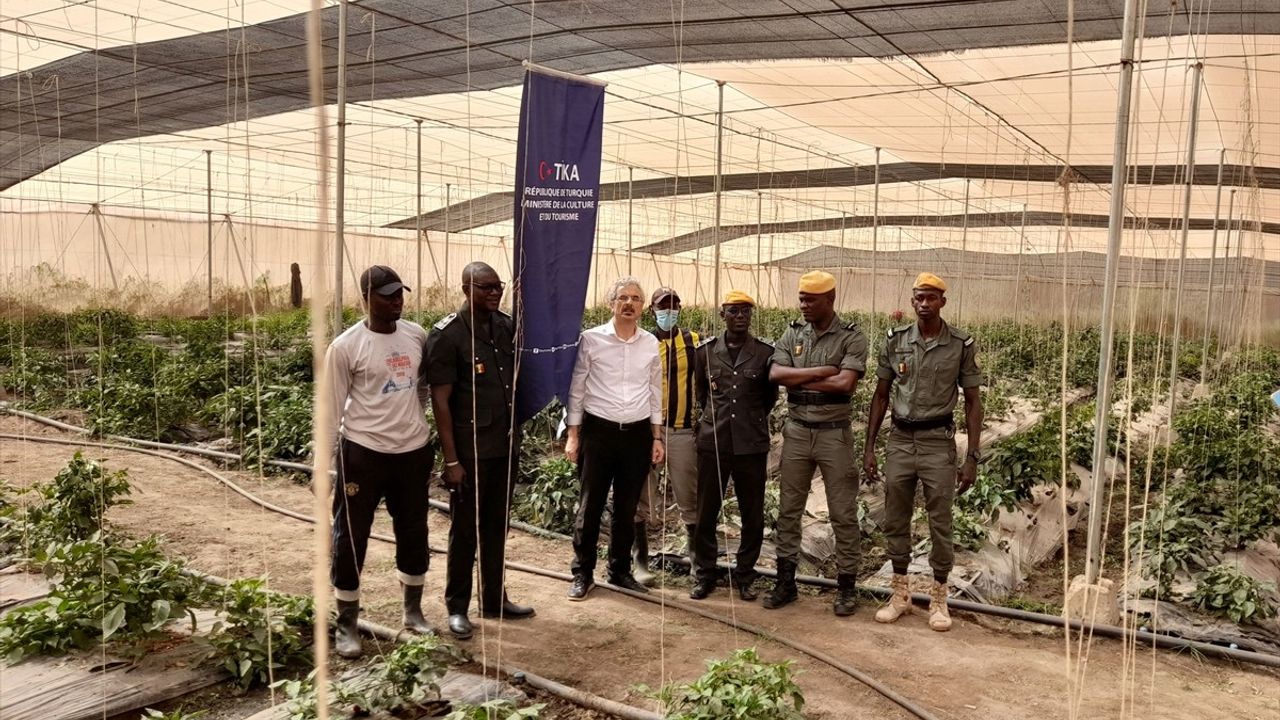 TİKA, Senegal'de Mahkumları Topluma Kazandırmak için Modern Sera Kurdu