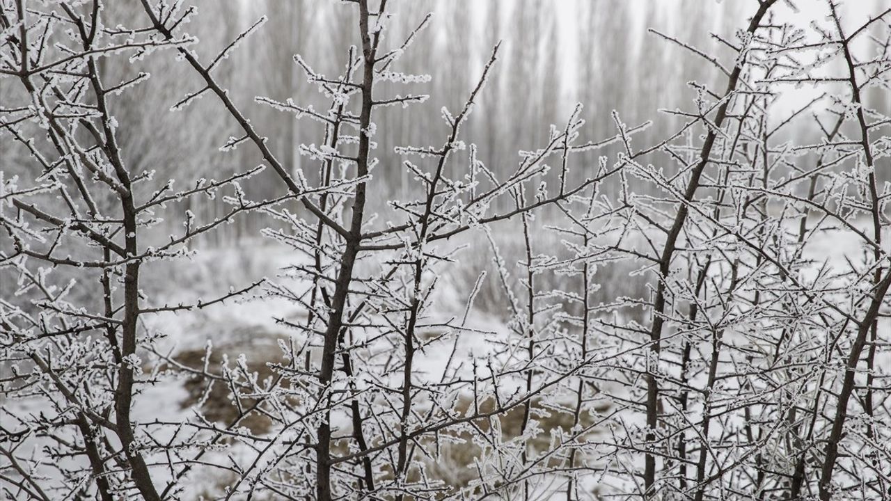 Tunceli'nin Ovacık İlçesinde Kış Manzarası