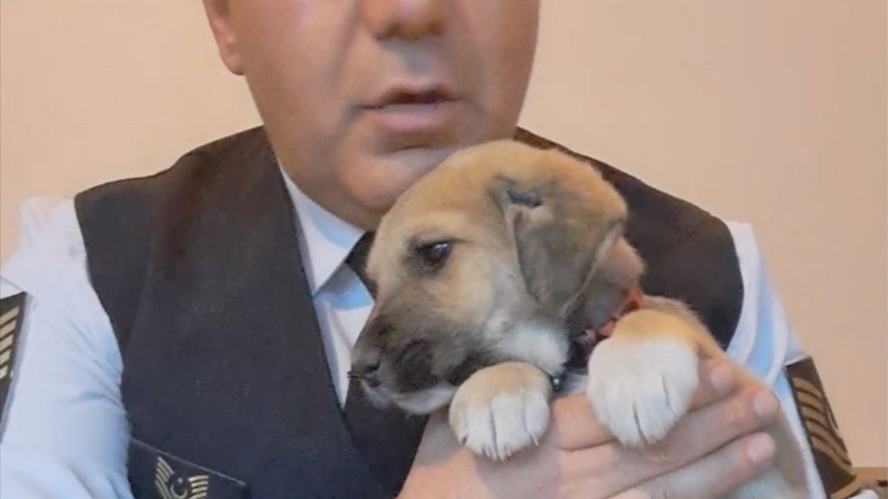 Yozgat'ta Jandarma Komutanı, Donmak Üzere Olan Köpek Yavrusunu Hayata Döndürdü
