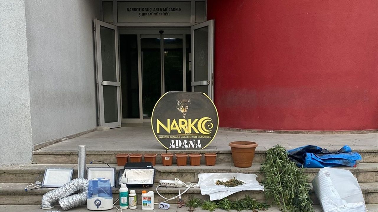 Adana'da Kenevir Yetiştiren Şüpheli Tutuklandı