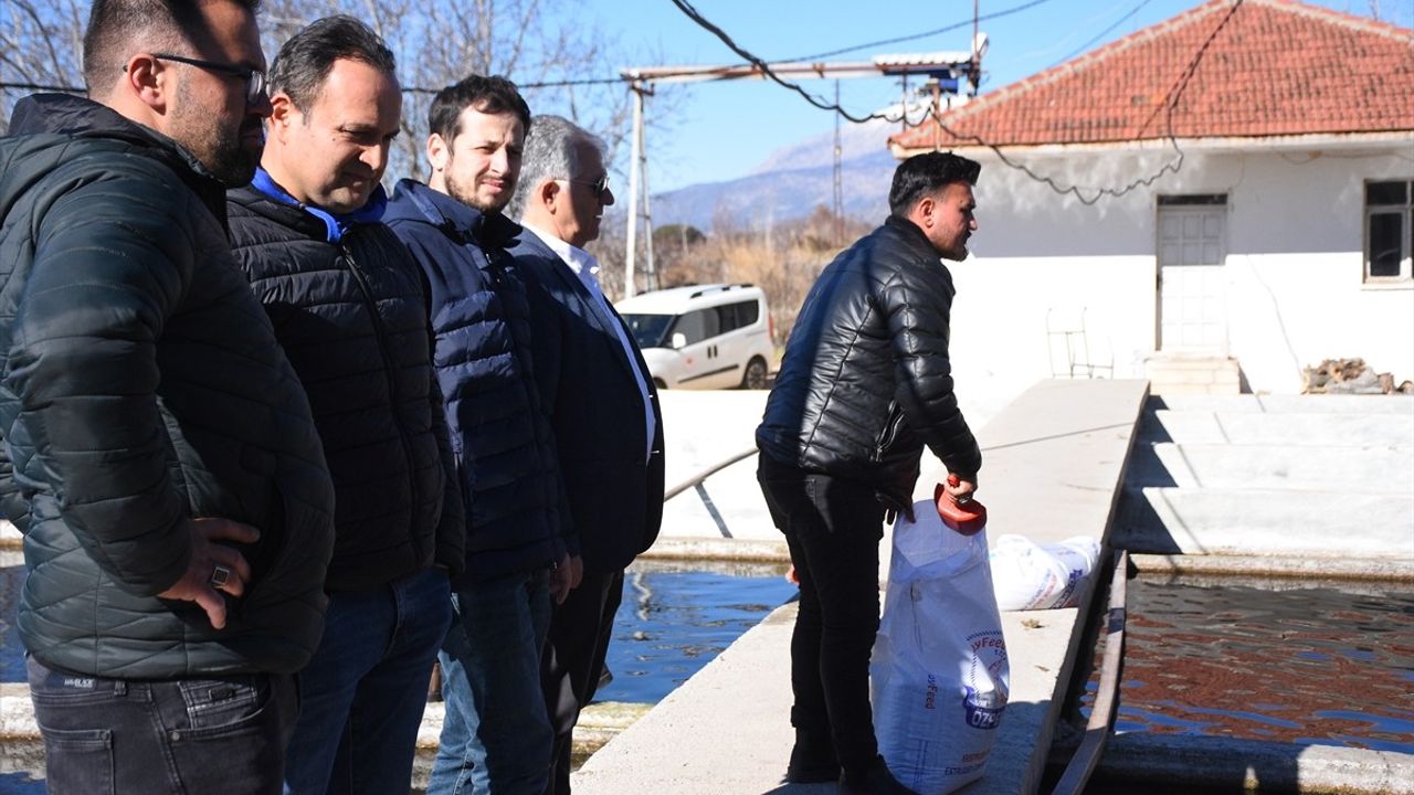 Afyonkarahisar'dan Avrupa'ya Alabalık İhracatı Başarıyla Devam Ediyor