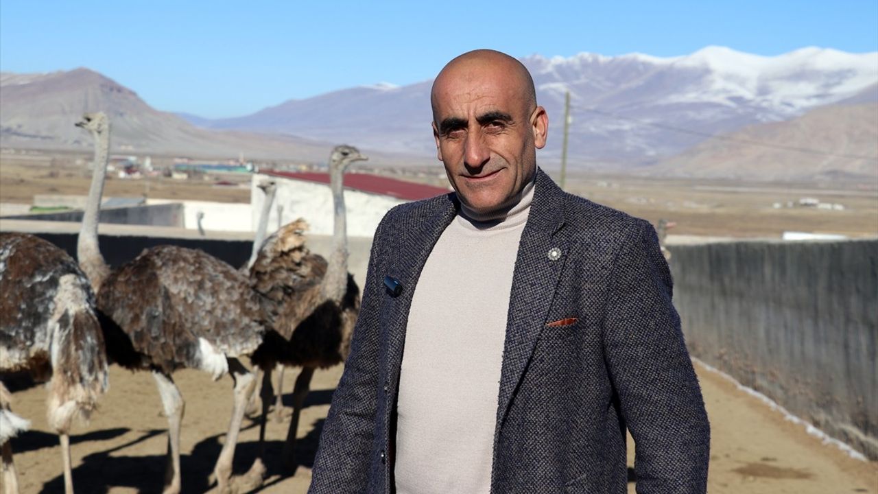 Ağrılı Girişimciden Yeni Tarım Modeli: Deve Kuşu Yetiştiriciliği