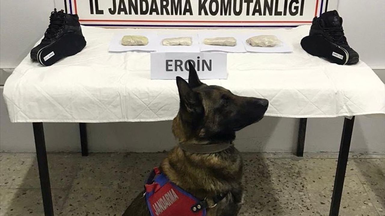 Bitlis'te Ayakkabı Tabanında Gizlenmiş Eroin Ele Geçirildi