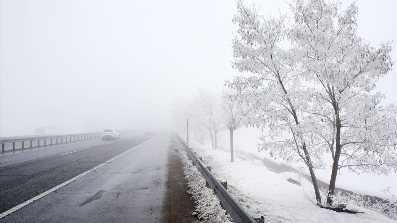 Bitlis'te Soğuk Hava ve Sis Etkili