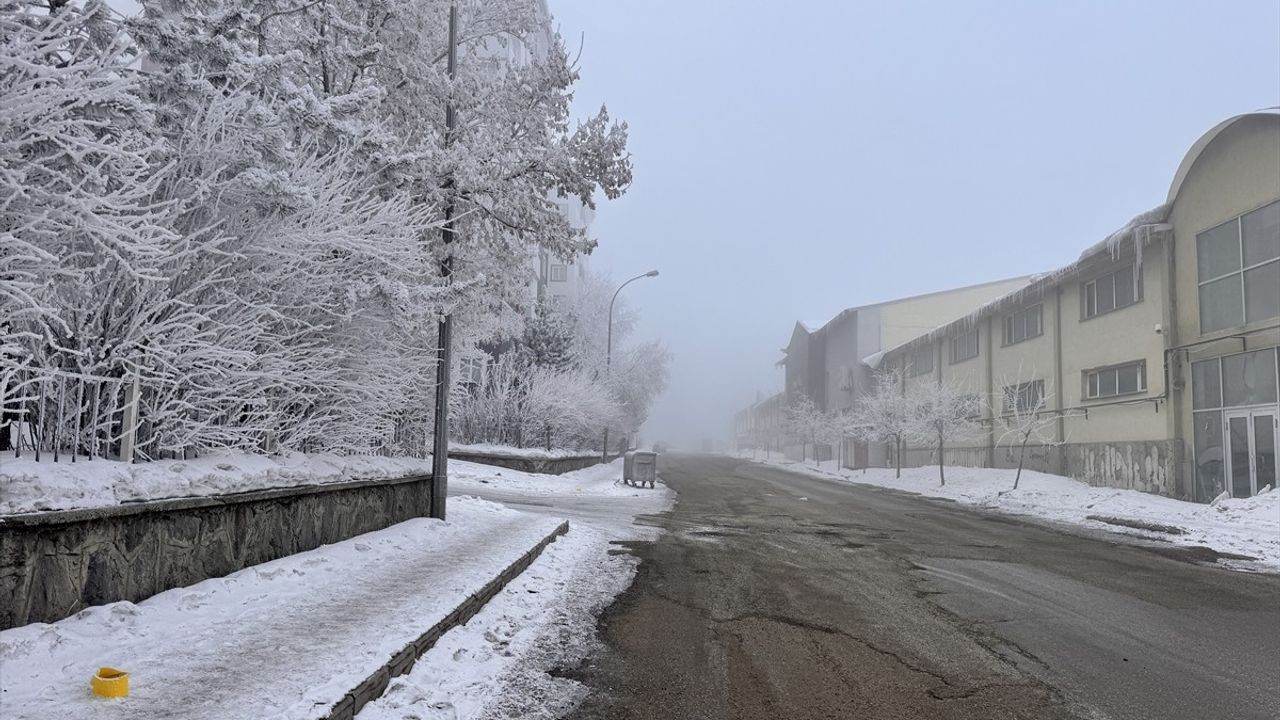 Doğu Anadolu'da Dondurucu Soğuklar Etkili: Ardahan'da Sıcaklık -32 Dereceyi Gördü