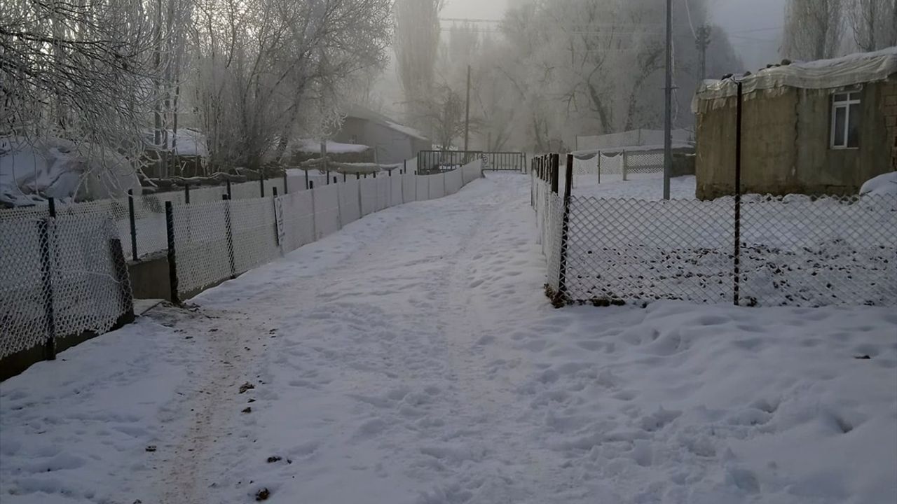 Doğu Anadolu'da Kar ve Soğuk Hava Etkisi Sürüyor