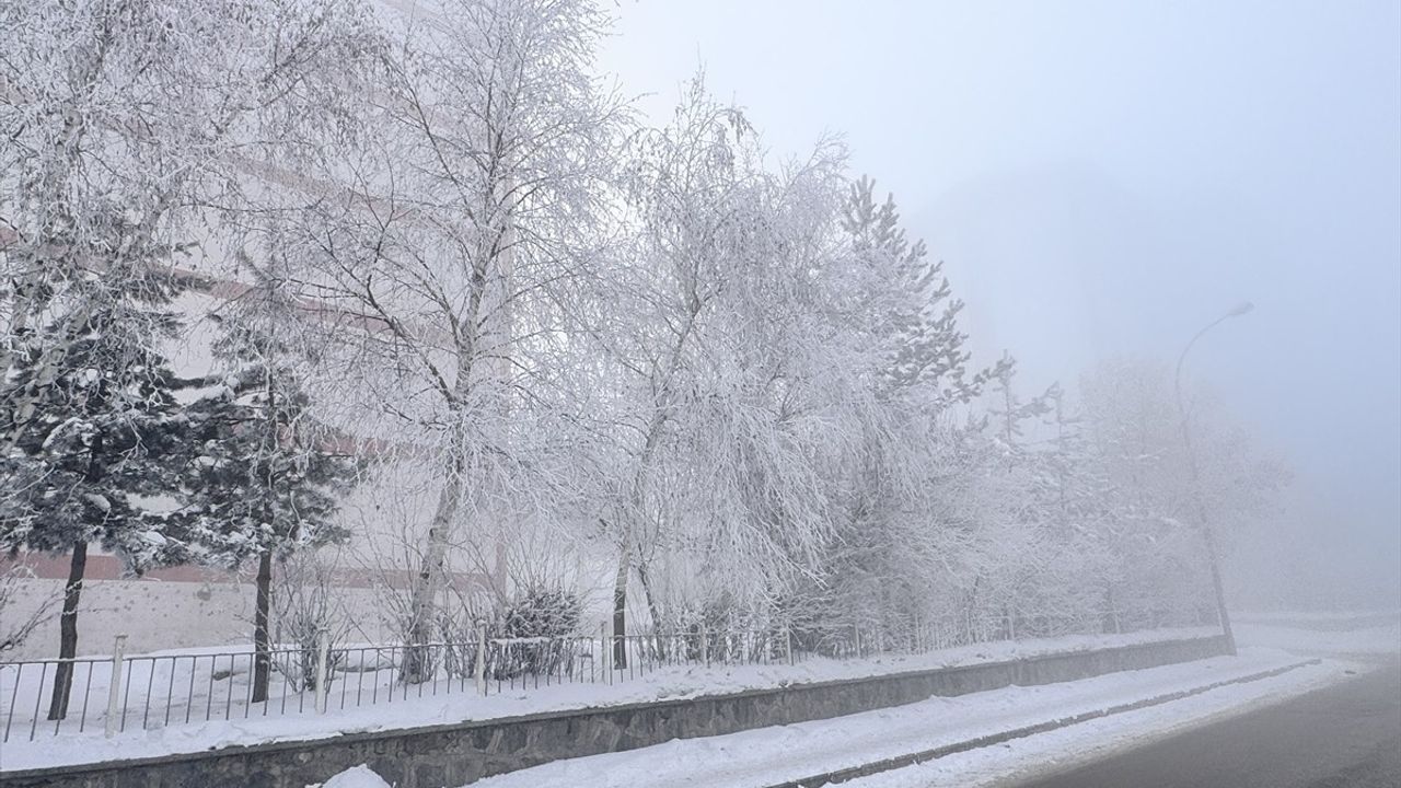 Doğu Anadolu'da Sis ve Buzlanma Etkili