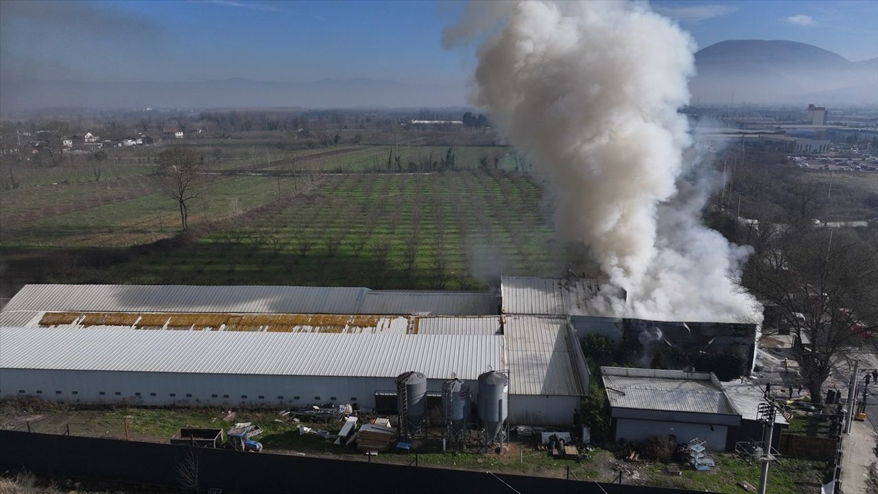 Düzce'de Yumurta Üretim Tesisinde Yangın Kontrol Altına Alındı