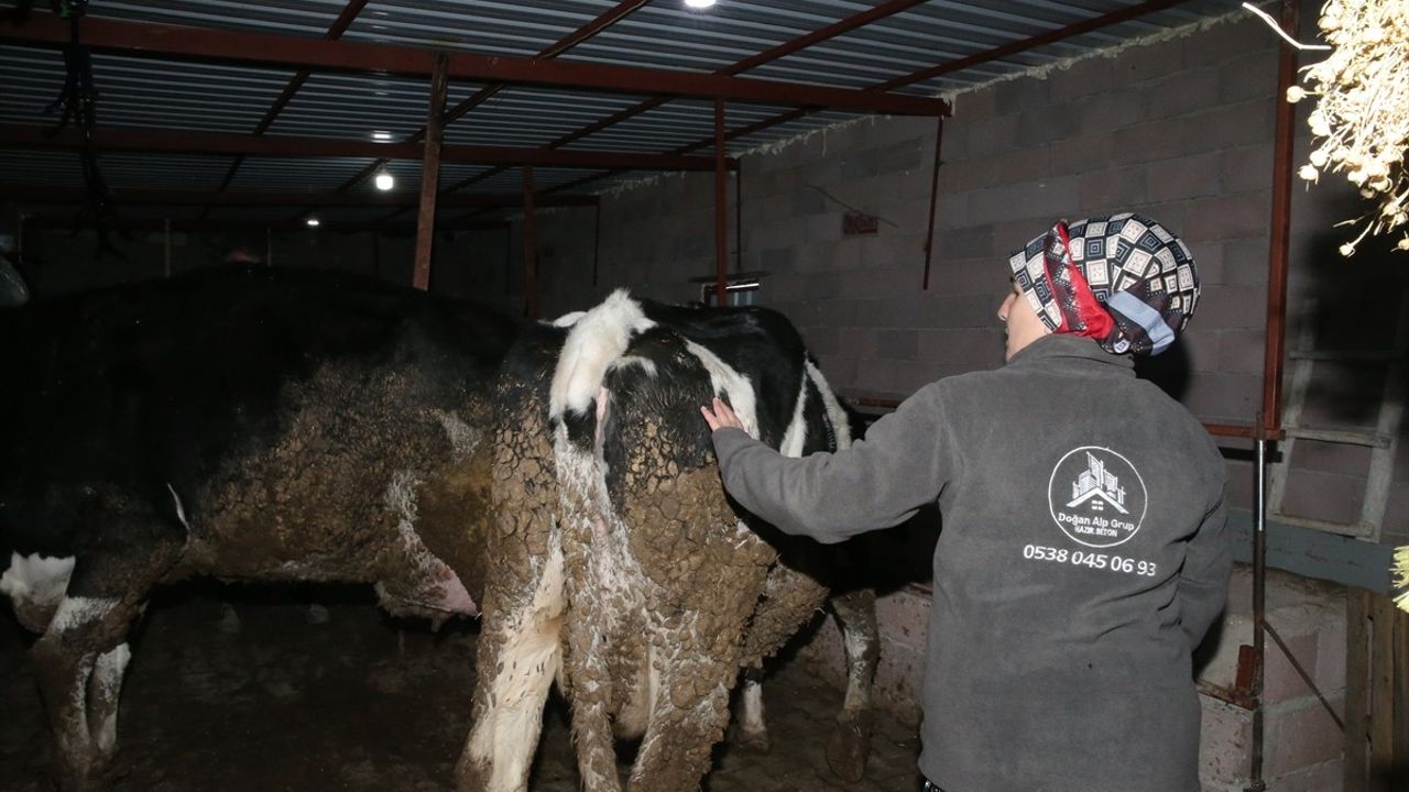Eski Kadın Hükümlü, Devlet Desteğiyle Hayvancılığa Adım Attı