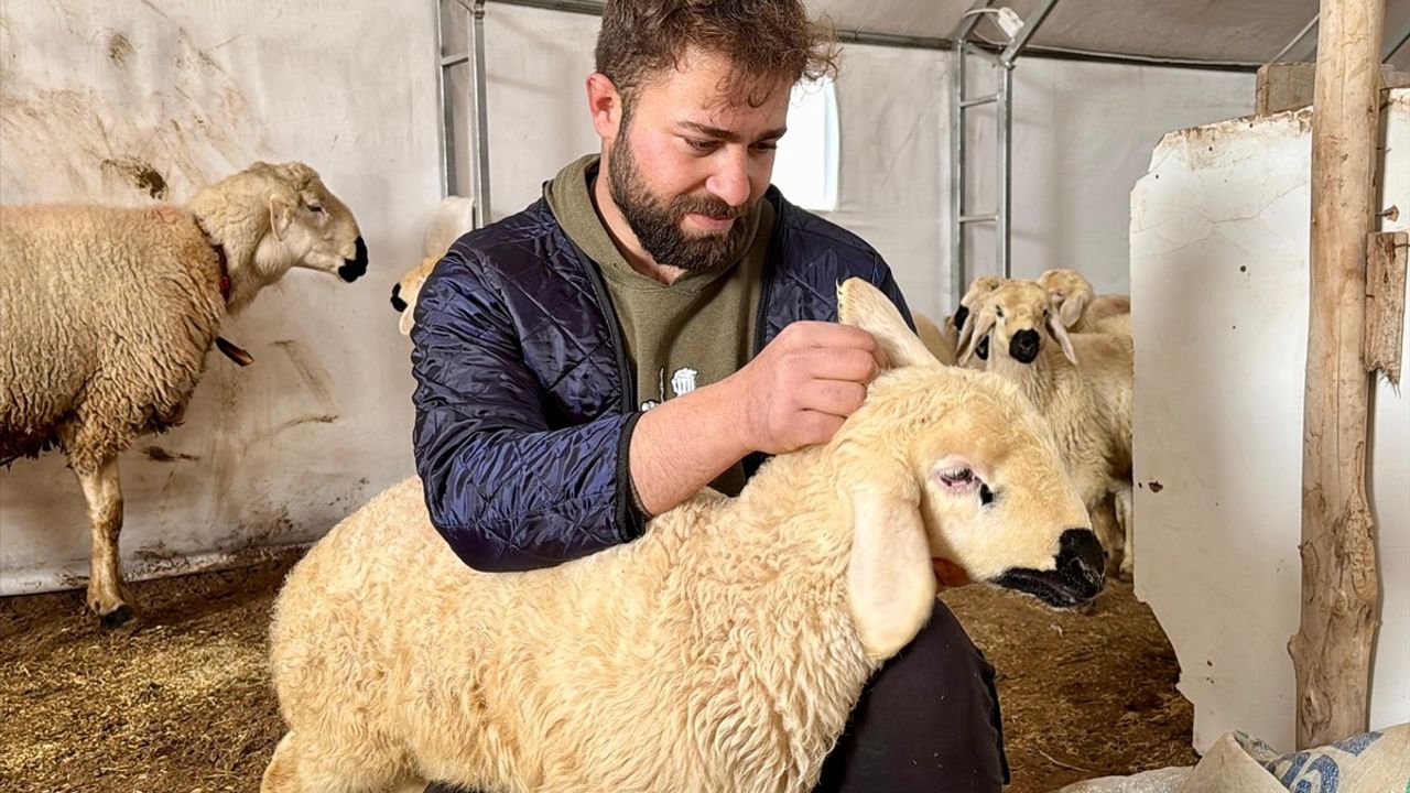 Genç Girişimci Emre Gültekin'in Hayvancılık Serüveni