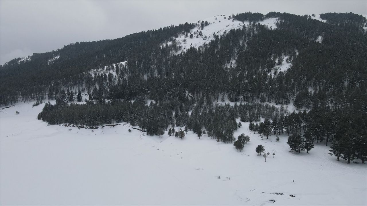 Giresun'daki Dikmetaş Göleti'nin Buz Tutması Doğaseverlerin İlgi Odağı Oldu
