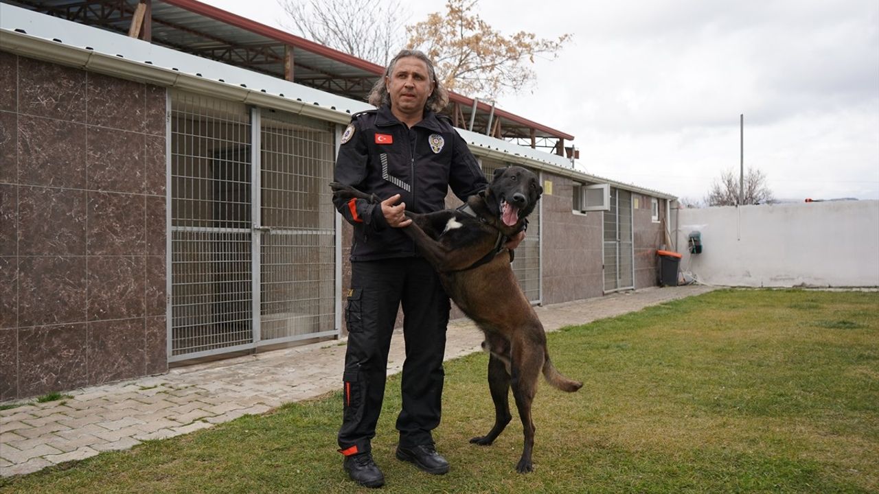 Isparta'nın Narkotik Köpeği Milon Üçüncü Kez Ayın Köpeği Seçildi