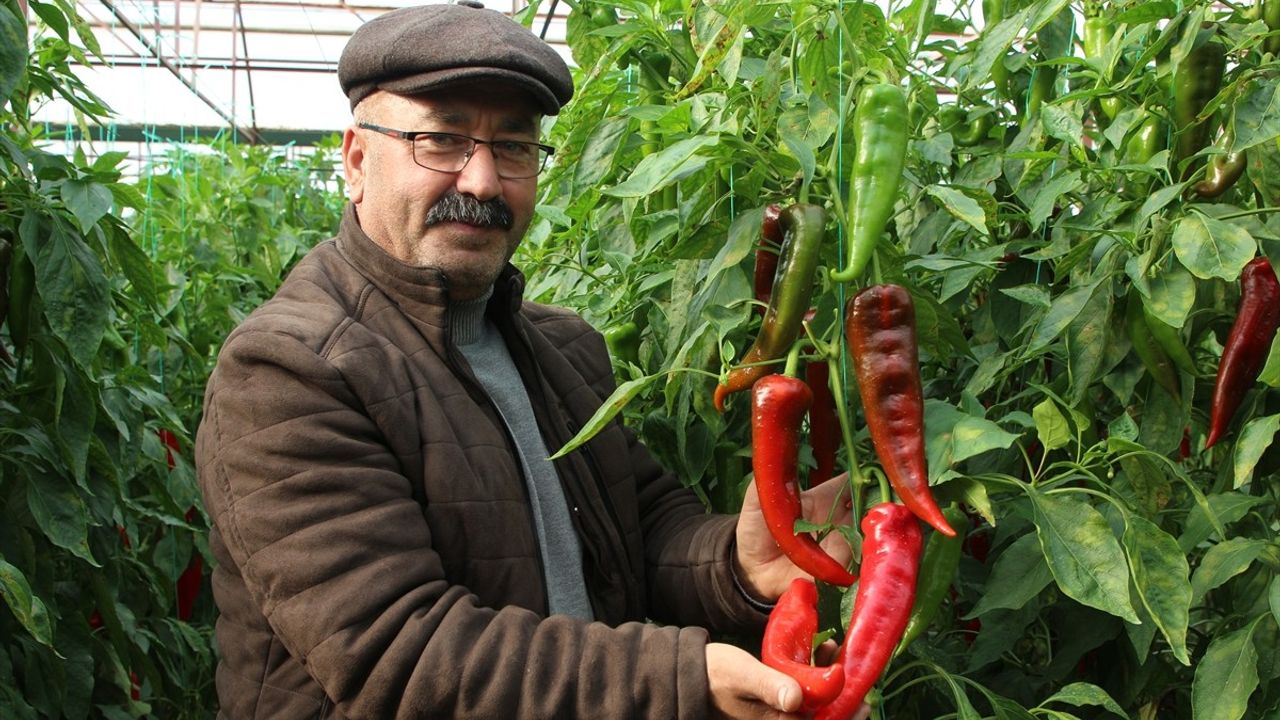 Kaş'ın 'Kör Duman'ı Tarıma Hayat Veriyor