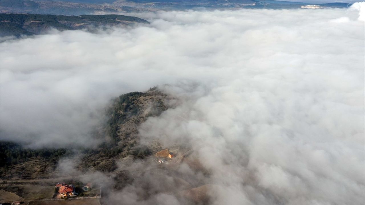 Kastamonu'da Görüş Mesafesini Azaltan Şiddetli Sis