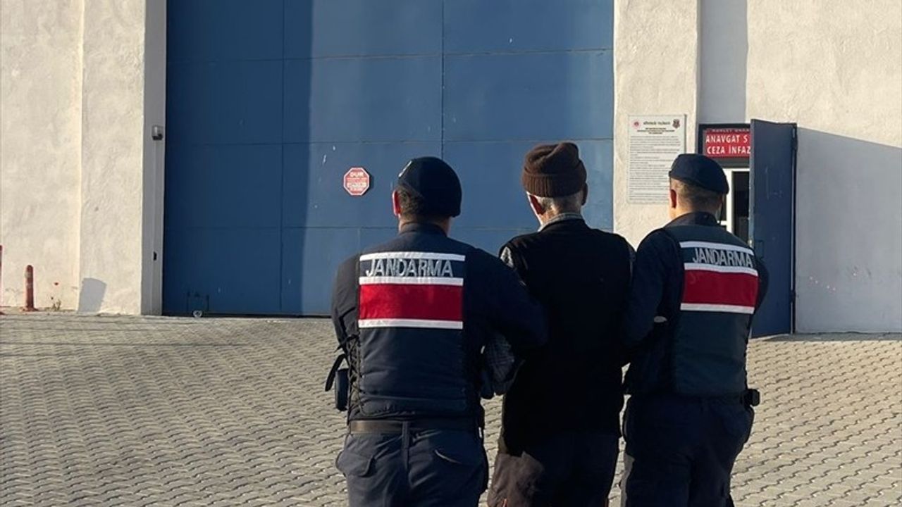 Köpek Saldırısında Can Kaybı: Sahibe Hapis Cezası
