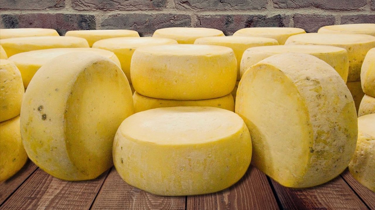 Malkara Eski Kaşarı İçin AB Tescil Başvurusu