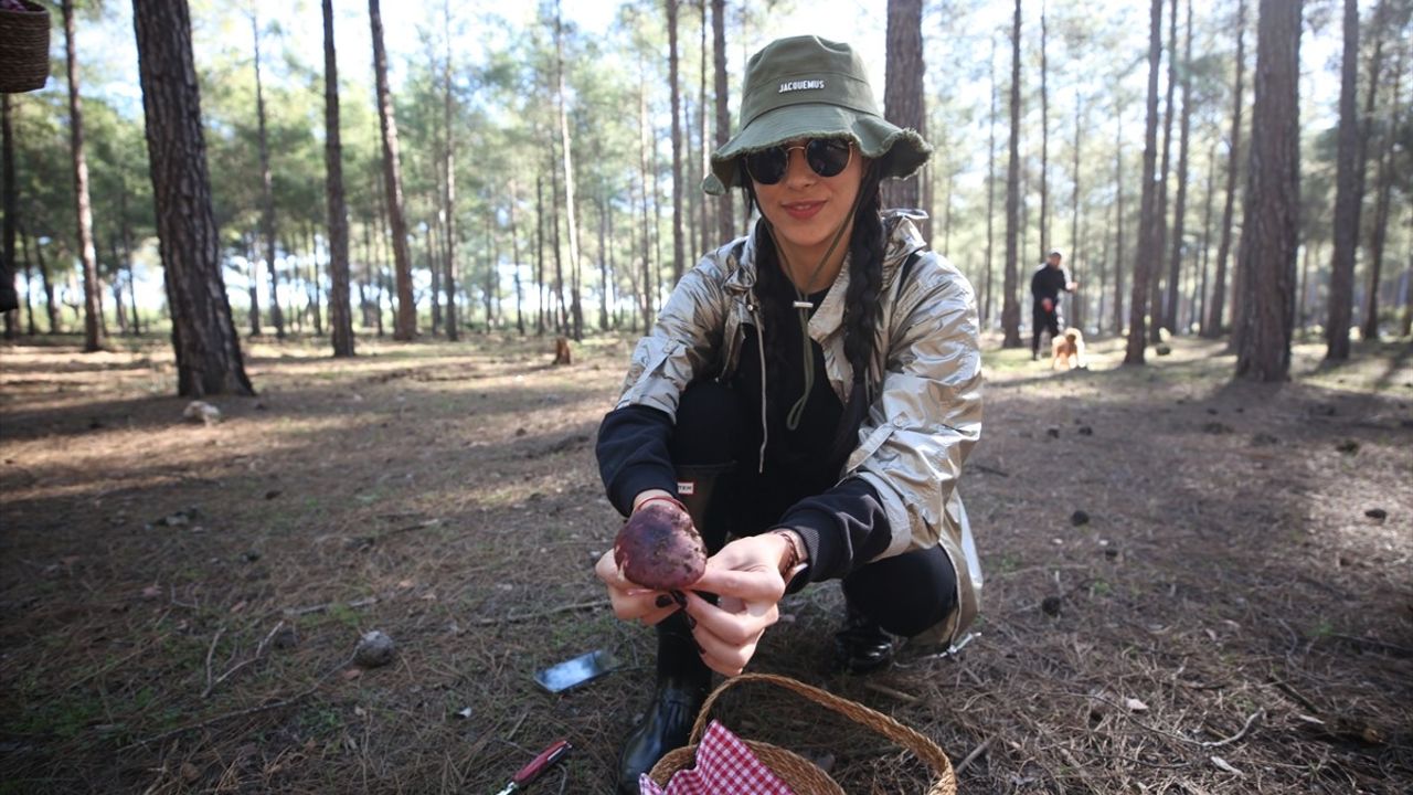 Mantar Meraklıları Antalya’da Toplandı