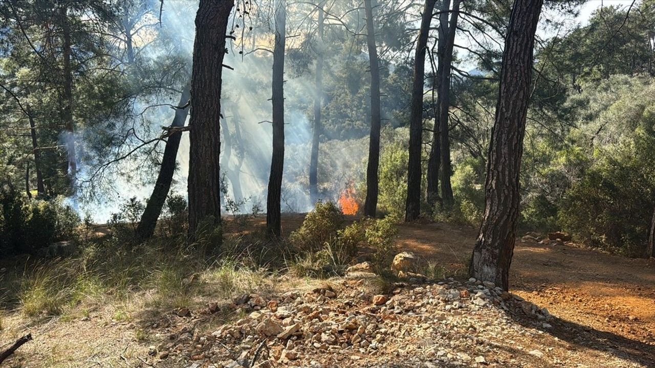 Muğla'da Orman Yangını Kontrol Altına Alındı