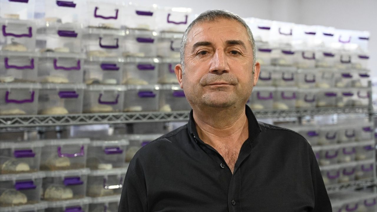 Osmaniye'de Akrep Yetiştiriciliği ile Yeni Bir Girişim