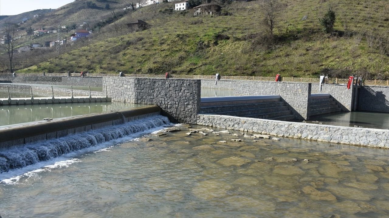 Sera Gölü'nde Temizlik Çalışmaları Başladı