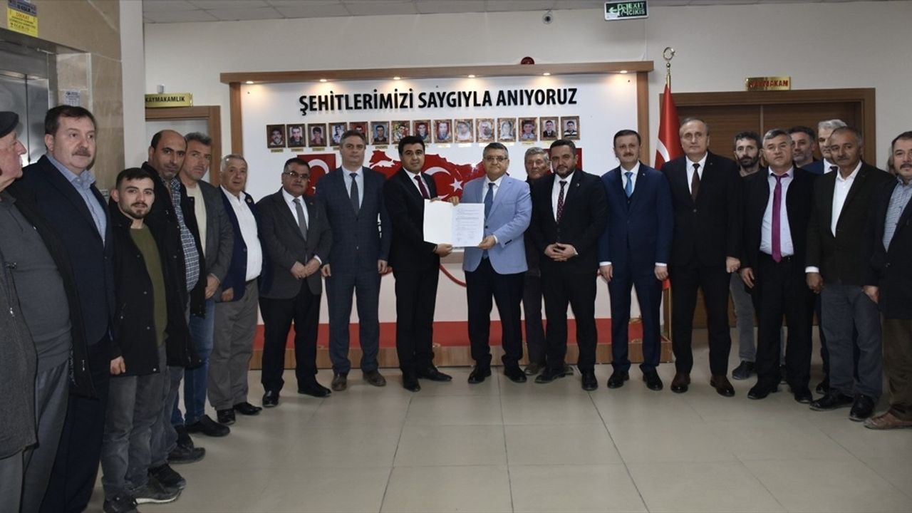 Sinop'ta Ekonomiye Kazandırılacak Yabani Zeytin Ağaçları