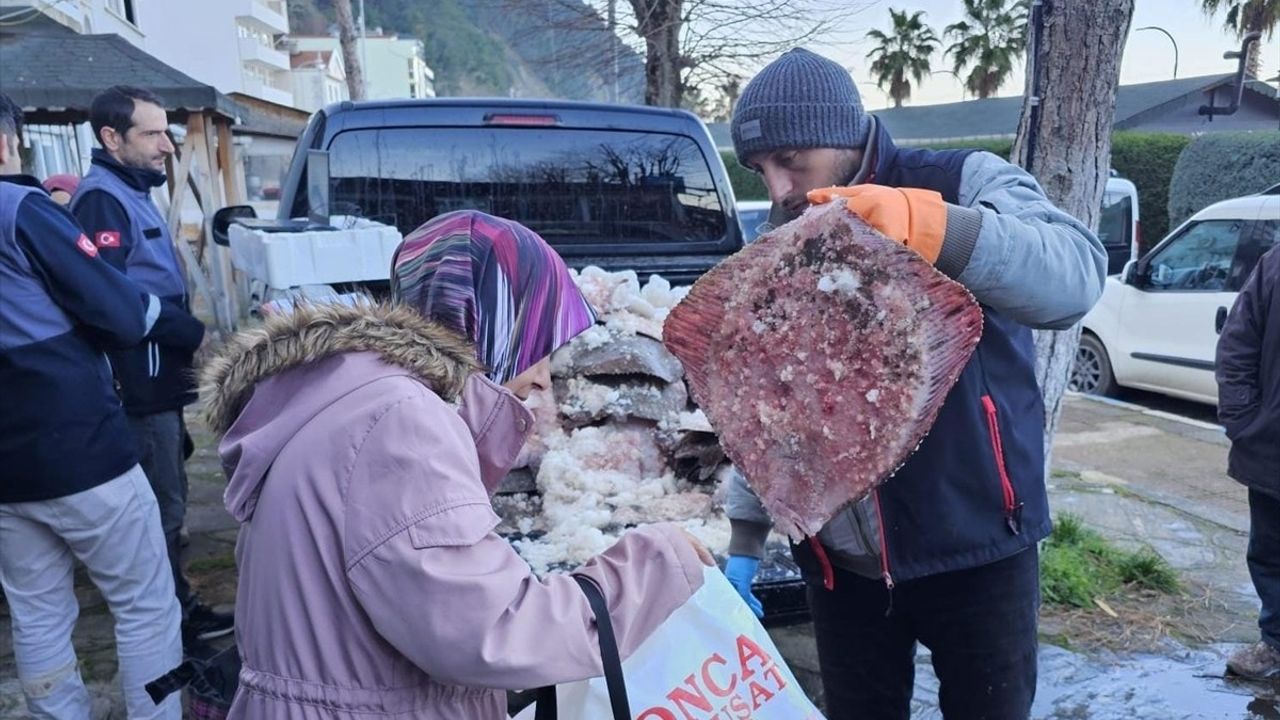 Sinop'ta Kaçak Avlanan 380 Kalkan Balığı Ele Geçirildi