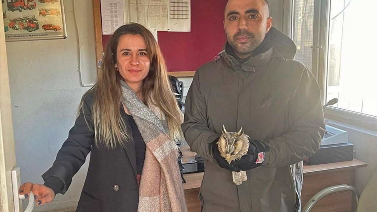 Şırnak'ta Yaralı İki Puhu Tedavi Ediliyor
