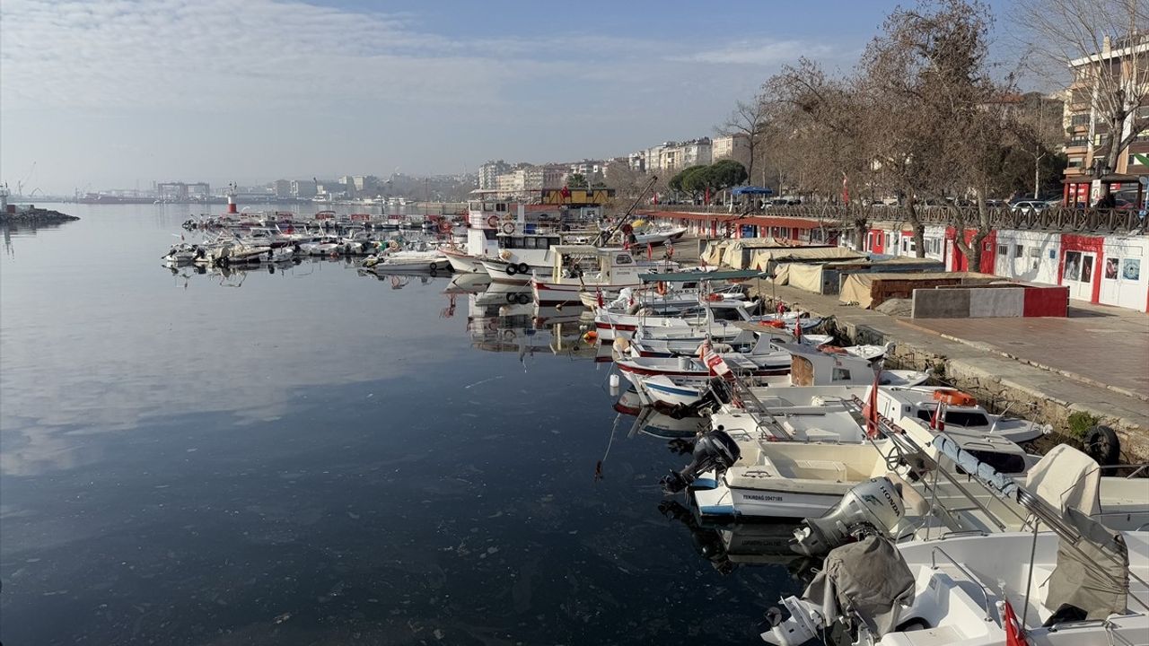 Tekirdağlı Balıkçılar Karides İçin Hazır