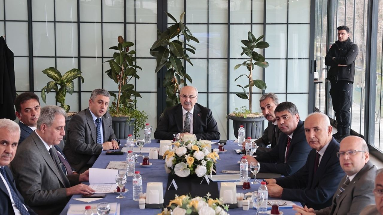 Adana'da Kamu Arazisi İşgaliyle Mücadele: 135 Yapı Yıkıldı