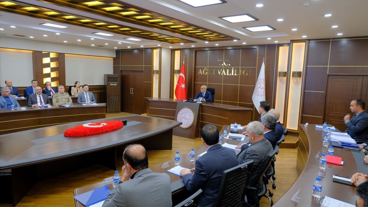 Ağrı'da Sahipsiz Hayvanlar İçin Çözüm Arayışları