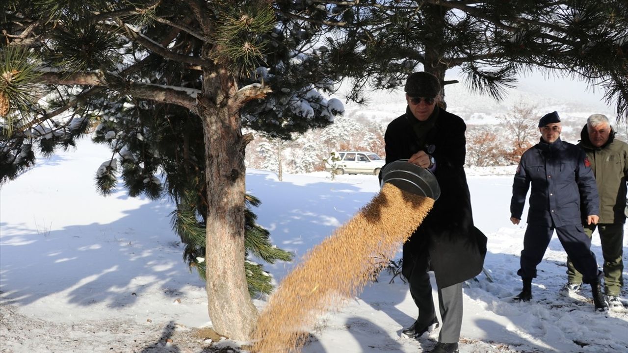 Amasya'da Yaban Hayvanları İçin Doğaya Yem Bırakıldı