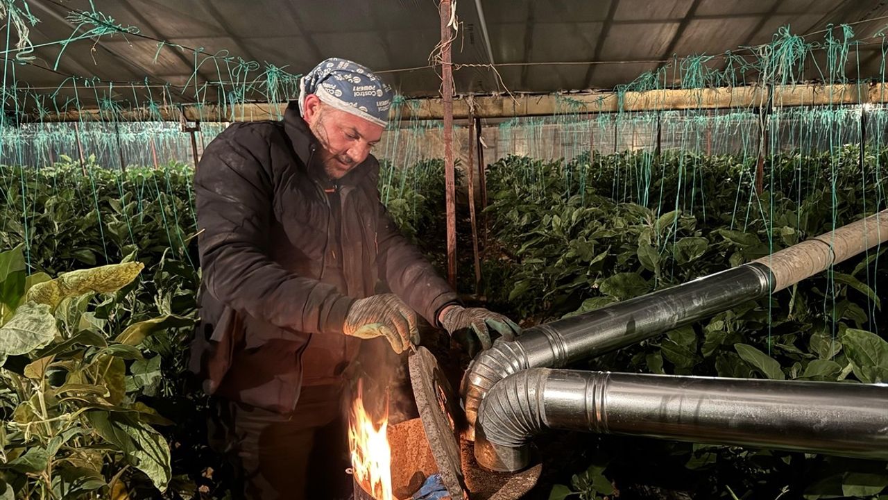 Antalya'da Üreticiler Zirai Don Nöbetine Başladı