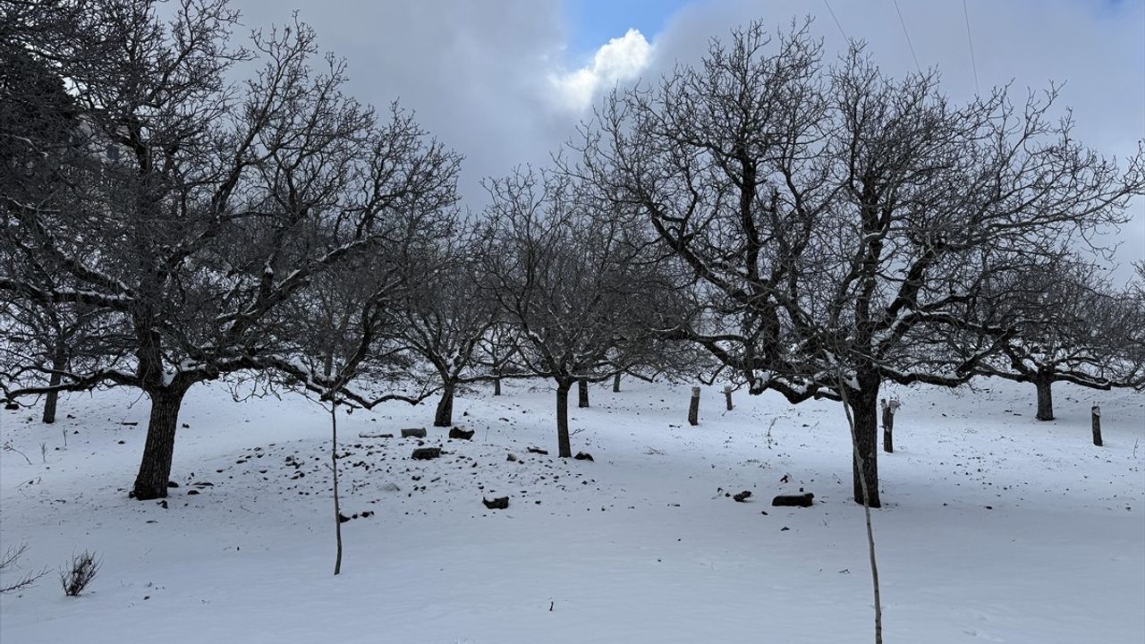 Aydın'ın Yüksek Kesimlerine Kar Yağdı