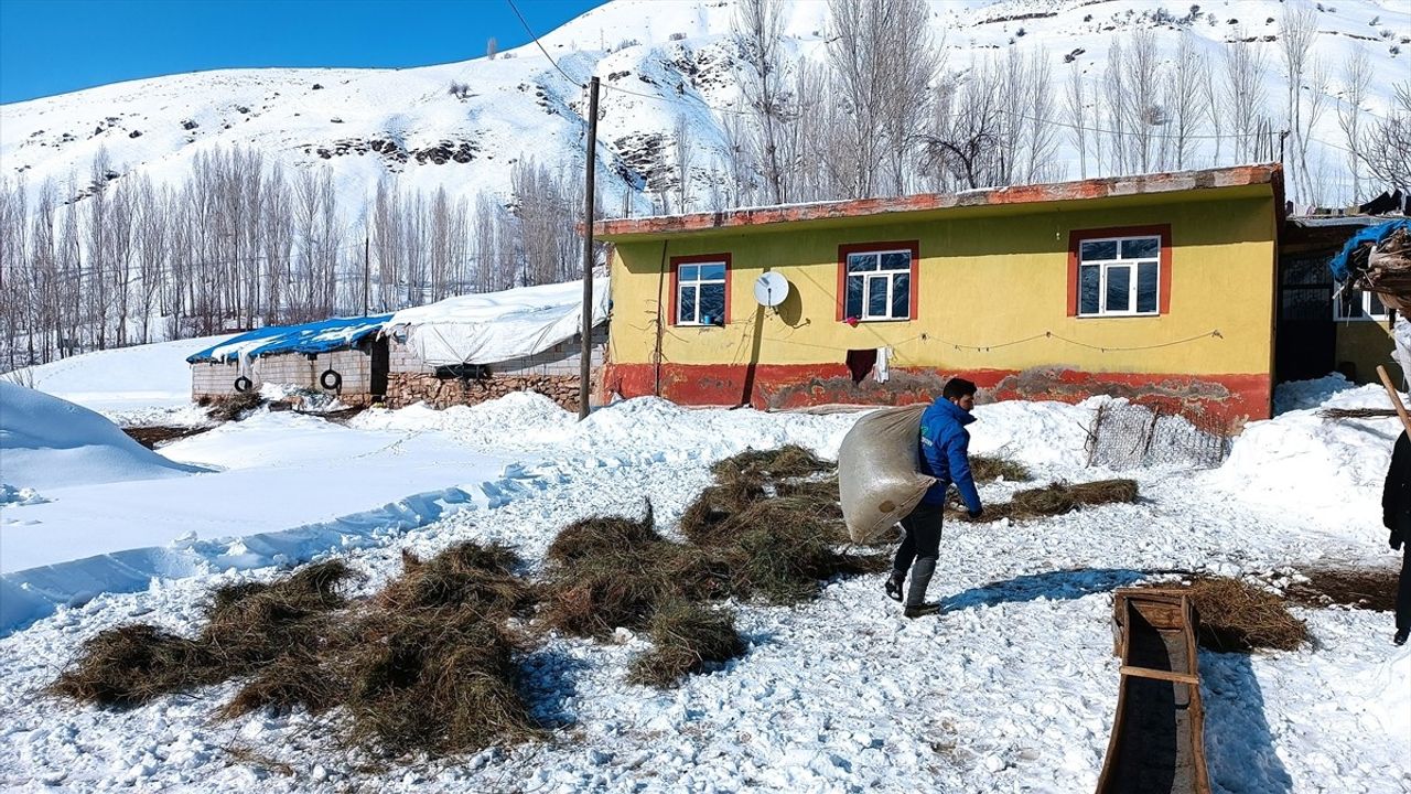 Bitlis'teki Besiciler Kış Şartlarıyla Mücadele Ediyor